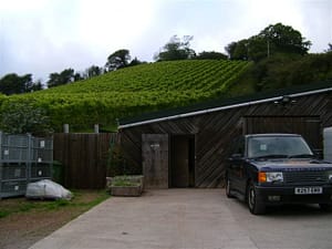 Old Walls winery & adjacent