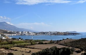 Wines and Tours - Andros Wine-tasting holiday Wines and Tours - Andros Wine-tasting holiday