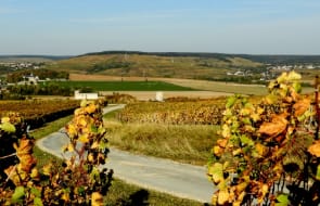 Wines and Tours - Champagne Tour Wines and Tours - Champagne Tour