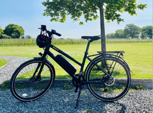 E-Bike in the vineyard E-Bike in the vineyard